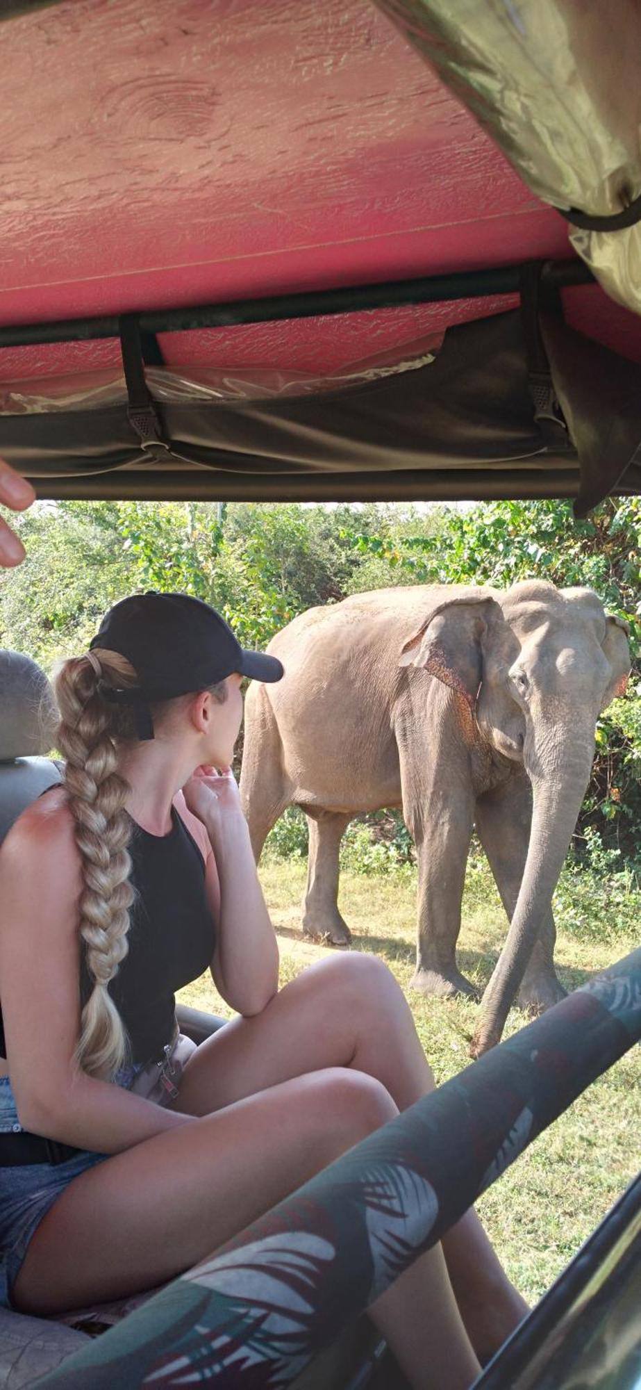 Bed and breakfast Share Safari House Uda Walawe Extérieur photo