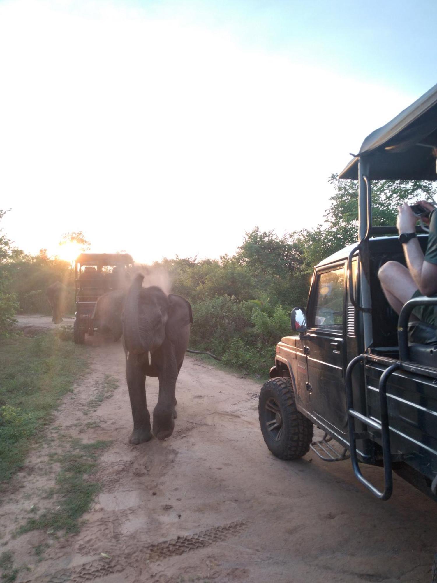Bed and breakfast Share Safari House Uda Walawe Extérieur photo